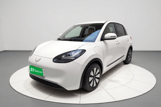 五菱汽车 五菱缤果 2023款 333km 悦享款