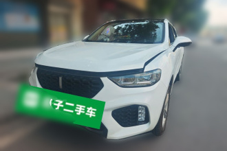 魏牌 VV5 2019款 1.5T 两驱颜先锋