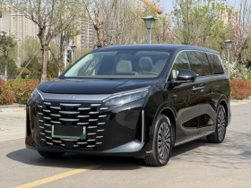 比亚迪 夏 2025款 DM-i 1.5T 100km 领先型