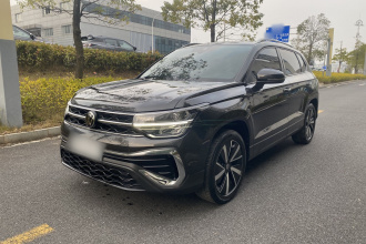 大众 途岳 2023款 300TSI 两驱皎月版