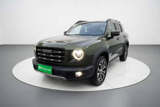 哈弗大狗 2021款 1.5T DCT两驱边牧版