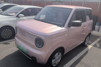 吉利银河 2024款 熊猫mini 200km 耐力熊