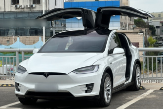 特斯拉 Model X 2019款 长续航版