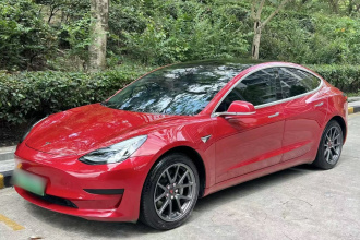 特斯拉 Model 3 2020款 标准续航后驱升级版
