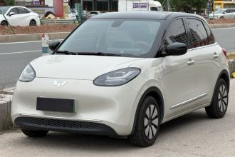 五菱汽车 五菱缤果 2025款 333km 悦享款