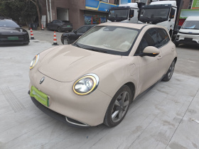 欧拉好猫 2021款 400km标准续航 维纳斯版 磷酸铁锂