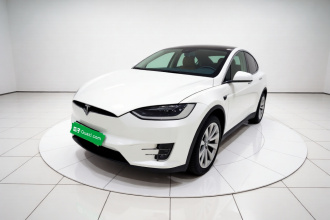 特斯拉 Model X 2019款 标准续航版