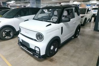 吉利银河 2024款 200km 熊猫卡丁