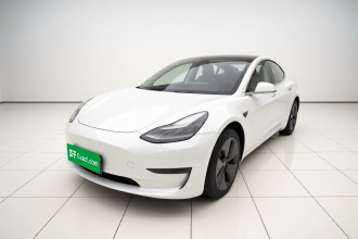 特斯拉 Model 3(进口) 2019款 标准续航后驱升级版