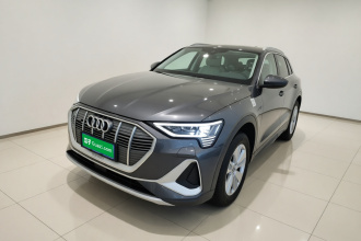 奥迪e-tron 2021款 50 quattro 豪华型