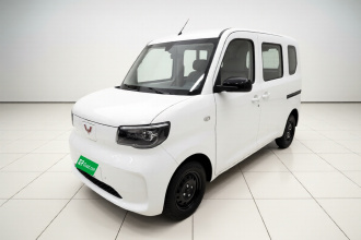 五菱汽车 五菱之光新能源 2025款 201km 标准型