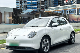 欧拉好猫 2021款 400km标准续航 维纳斯版 三元锂