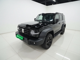 坦克300 2024款 2.0T 征服者