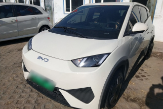 比亚迪 海鸥 2025款 智驾版 305km 活力版