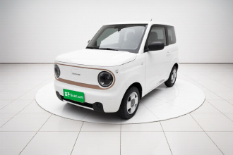吉利银河 2024款 熊猫mini 200km 耐力熊