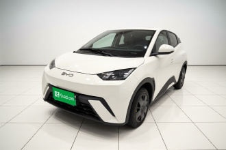 比亚迪 海鸥 2024款 荣耀版 305km 活力版