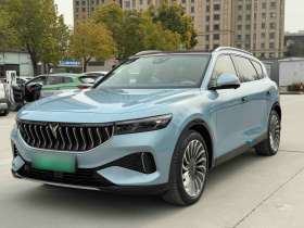 岚图汽车 岚图FREE 2021款 两驱标准纯电城市版