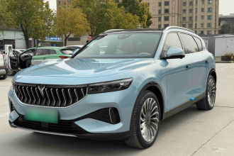 岚图汽车 岚图FREE 2021款 两驱标准纯电城市版