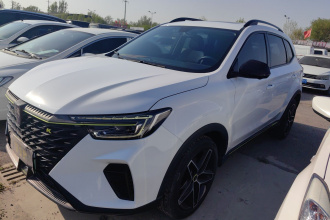 荣威RX5新能源 2021款 ePLUS 国潮荣麟豪华版