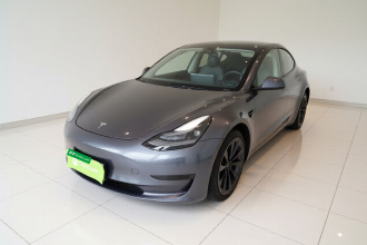 特斯拉 Model 3 2021款 标准续航后驱升级版