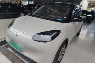 五菱汽车 五菱缤果 2023款 333km 悦享+款