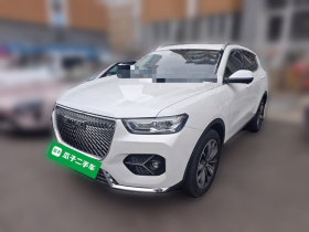 哈弗H6 2021款 2.0GDIT 自动冠军版