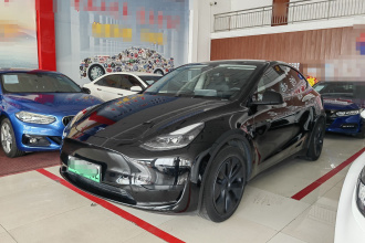 特斯拉 Model Y 2024款 后轮驱动版