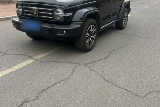 坦克300 2024款 2.0T 穿越者