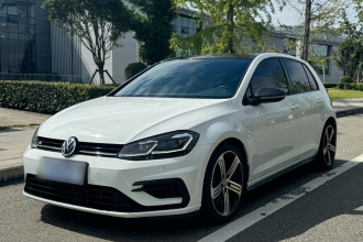 大众 高尔夫(进口) 2017款 2.0TSI R