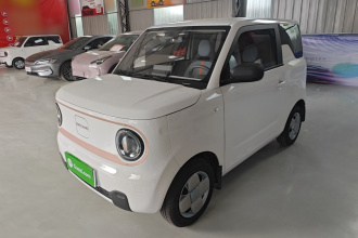 吉利银河 2024款 熊猫mini 200km 耐力熊