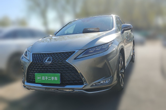 雷克萨斯RX 2020款 300 四驱典雅版 国VI
