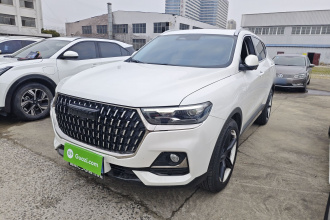 哈弗H6 2023款 国潮版 1.5T 自动冠军版