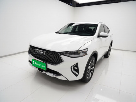 哈弗F7x 2021款 1.5T 两驱极智潮玩版