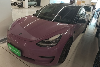 特斯拉 Model 3(进口) 2019款 标准续航后驱升级版