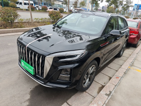 红旗HS3 PHEV 2024款 115km 劲为版