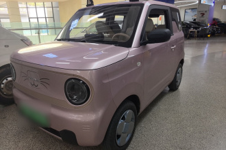 吉利银河 2023款 熊猫mini 200km 耐力熊