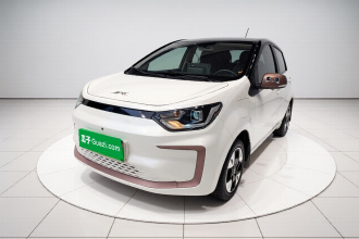 江淮钇为 钇为花仙子 2024款 挚爱版 301km Lite