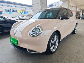 欧拉好猫 2021款 400km标准续航 雅典娜版 三元锂