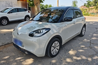 五菱汽车 五菱缤果 2023款 333km 快享款