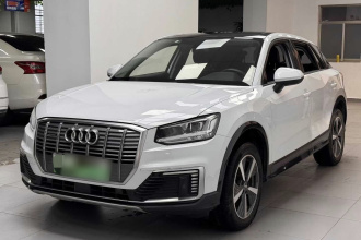 奥迪Q2L e-tron 2019款 Q2L e-tron 纯电智享型
