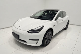 特斯拉 Model 3(进口) 2019款 标准续航后驱升级版(52度)