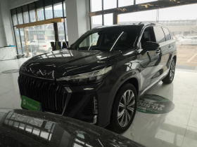 星途揽月 2023款 400T 两驱星耀版 7座