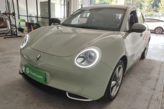 欧拉好猫 2023款 401km标准续航 尊贵型 磷酸铁锂