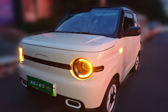 吉利银河 2025款 熊猫mini 210km 元气熊