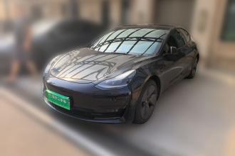 特斯拉 Model 3 2021款 标准续航后驱升级版