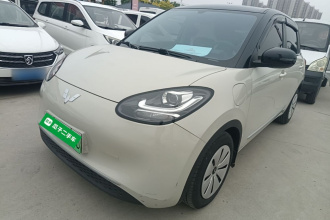 五菱汽车 五菱缤果 2023款 333km 快享款