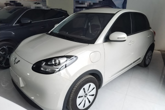 五菱汽车 五菱缤果 2025款 203km 轻享款