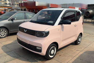 五菱汽车 宏光MINIEV 2021款 马卡龙时尚款 磷酸铁锂