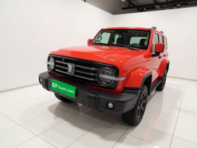 坦克300 2021款 城市版 2.0T 很有型