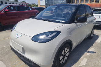 五菱汽车 五菱缤果 2023款 333km 灵犀互联+款